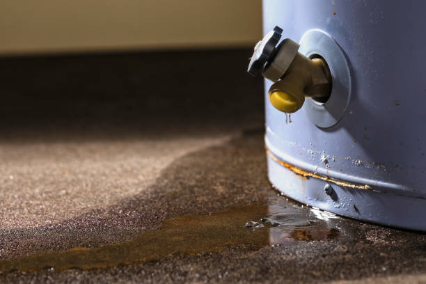 Best Flood restoration services  in Rensselaer, IN