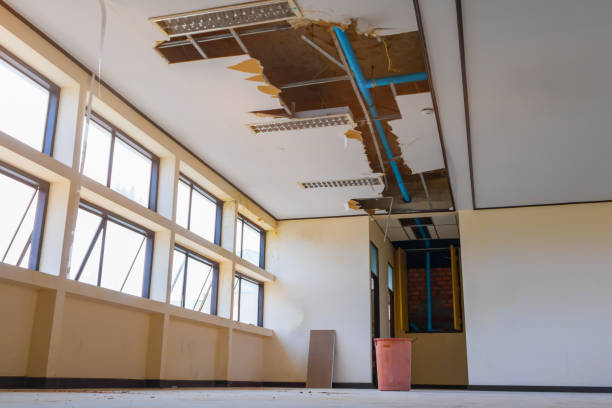 Best Emergency water damage restoration  in Rensselaer, IN