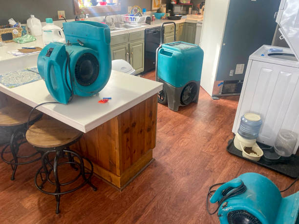 Best Carpet water damage restoration  in Rensselaer, IN