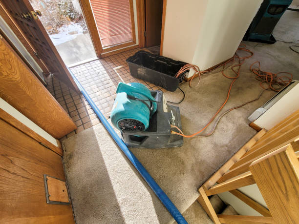 Best 24/7 water damage repair  in Rensselaer, IN