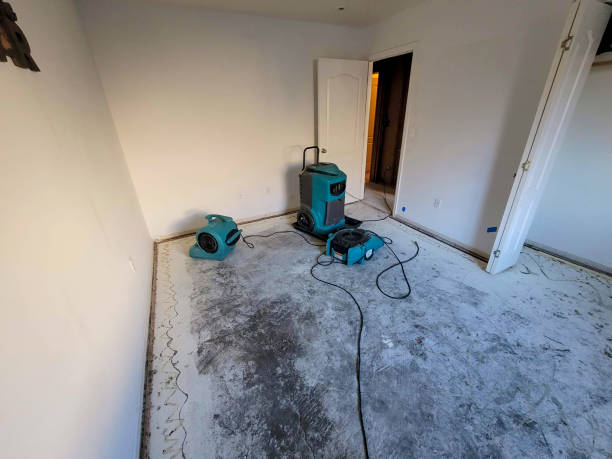 Best Professional water damage repair  in Rensselaer, IN