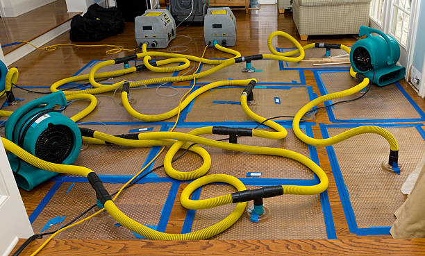 Water damage restoration process in IN