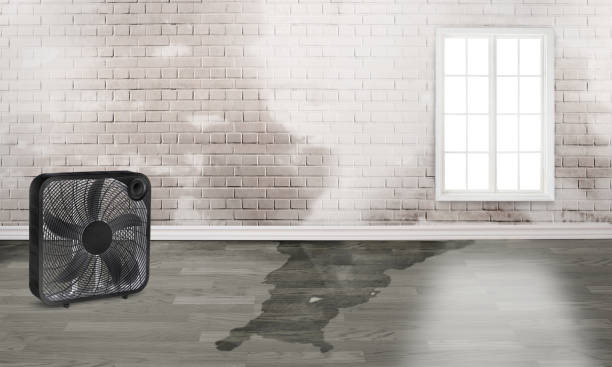 Best 24-hour water damage restoration  in Rensselaer, IN