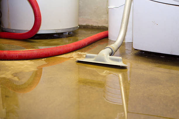Best Flooded house restoration  in Rensselaer, IN