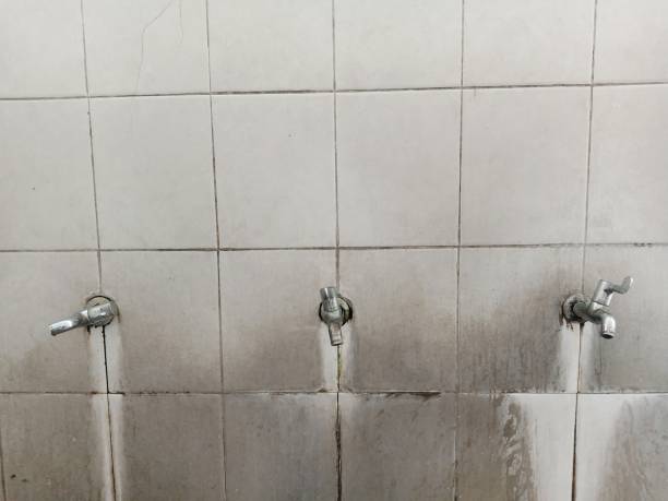 Best Commercial water damage restoration  in Rensselaer, IN